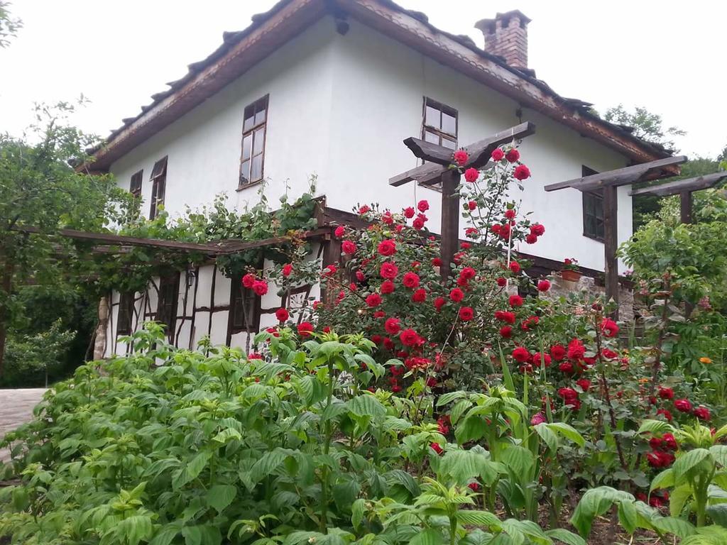 Къща За Гости Ножери Treavna Exterior foto